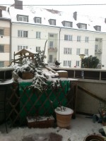 /album/hochzeit-in-england/vogerl-beim-hauserl-jpg/